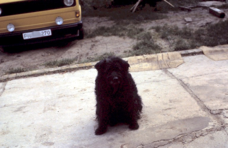 dagobert - my girl .jpg